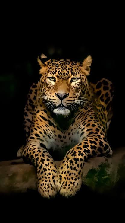 �� ���� ������_2HdQA