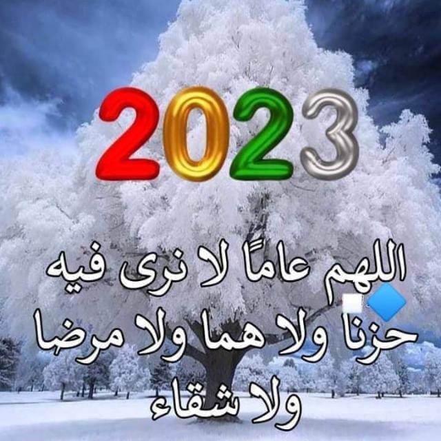 Zayd Naer_YYin7