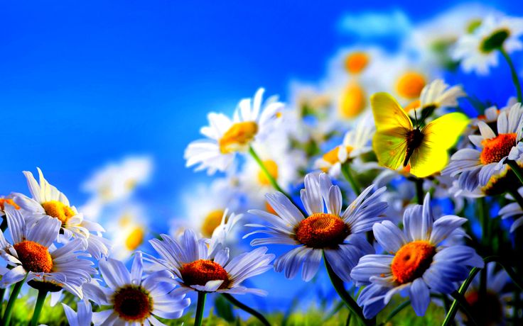 Fatima Gazouz_vRH30
