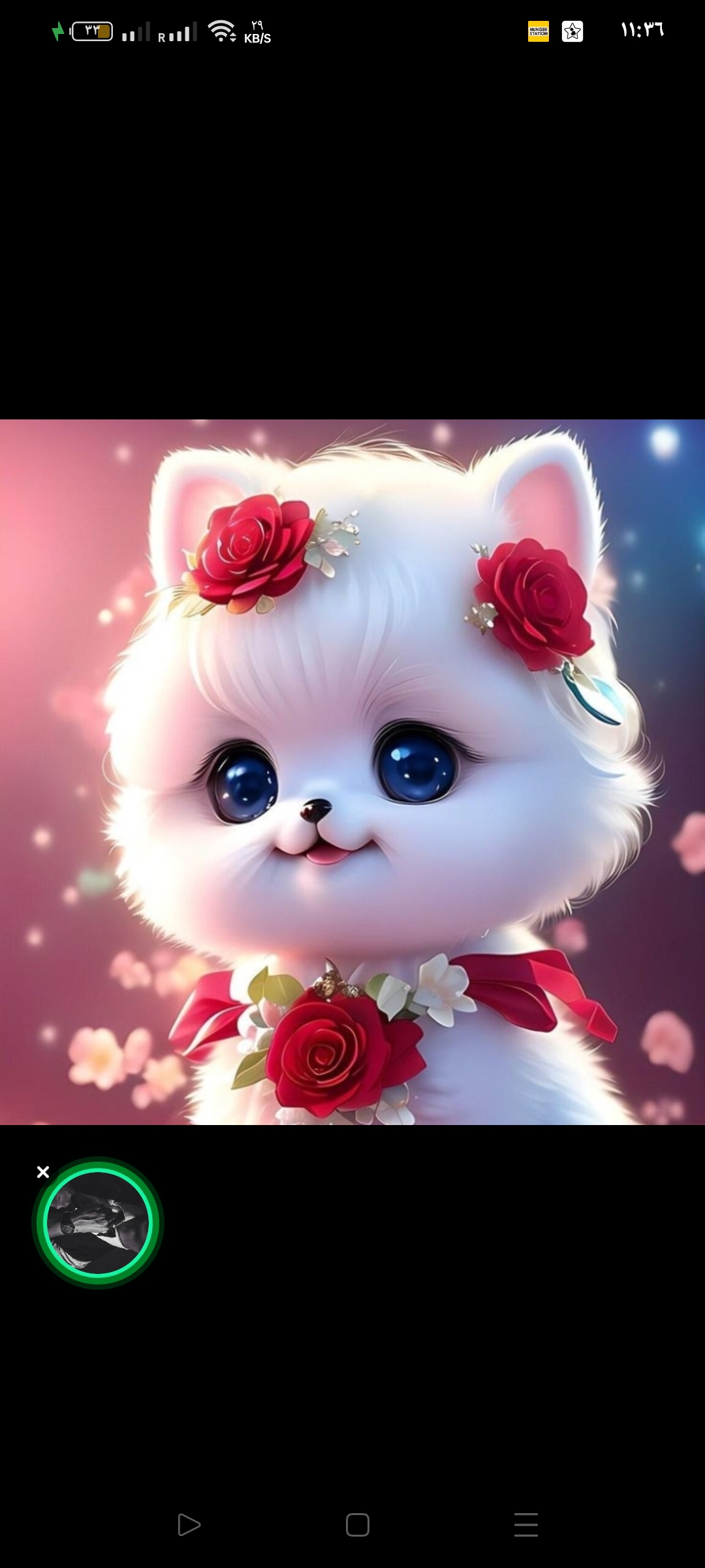 ����� ���� ����_dHuf0