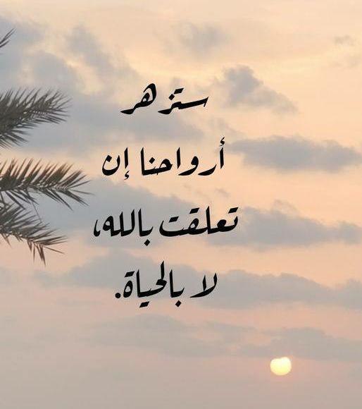 ����� ��������� ������