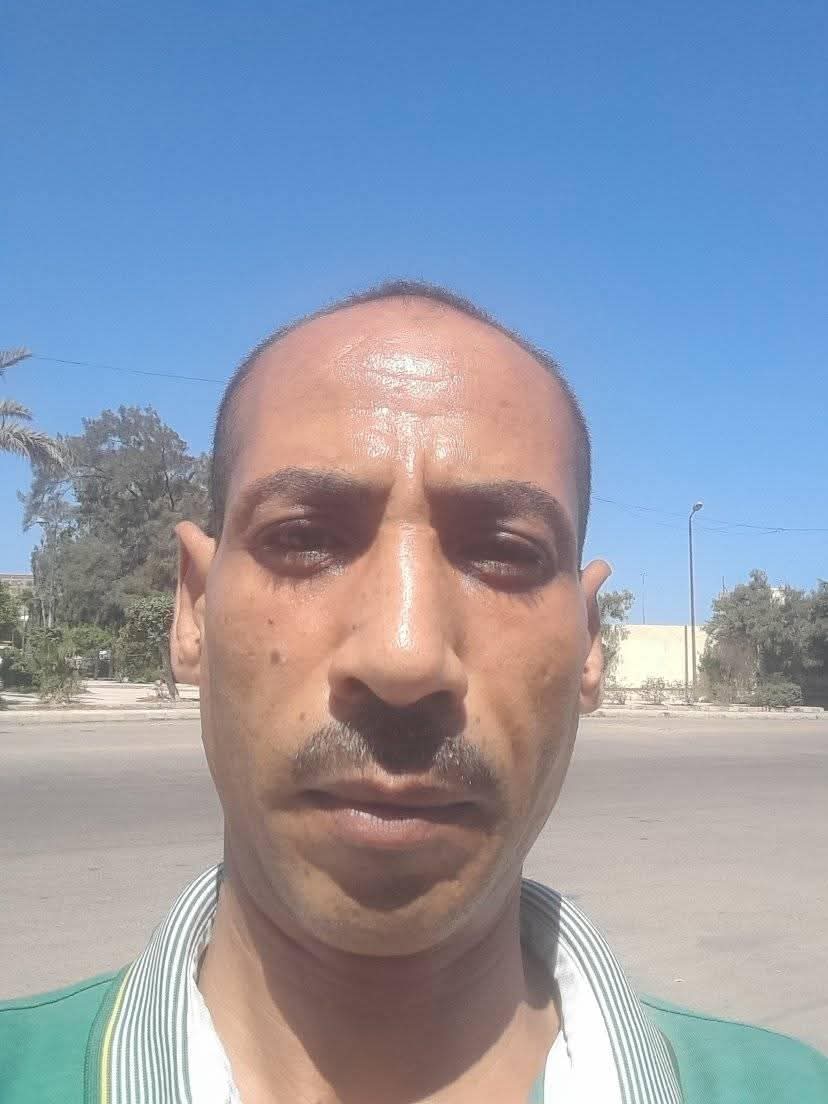 ���� ����� ����� �����_fHFel