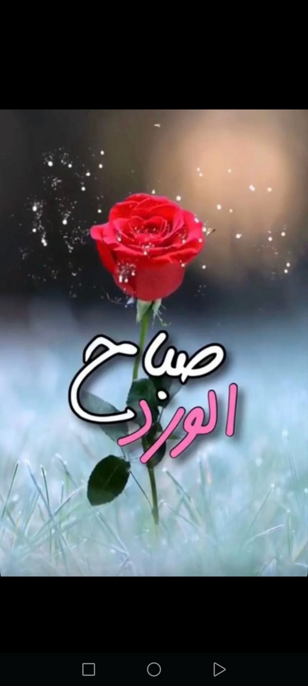 Taher Mulla_e2kwW