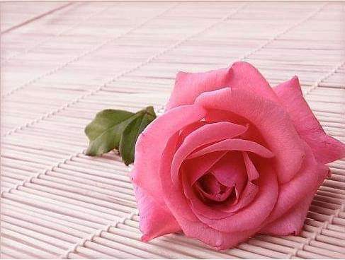 ��� ��������_4Vacy