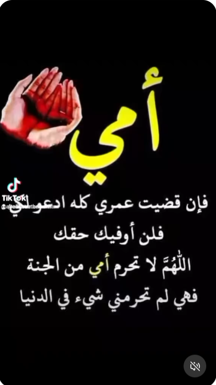 Mina Abdu_3d8TJ
